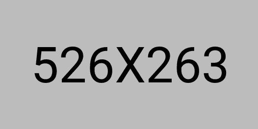 Project screenshot 2